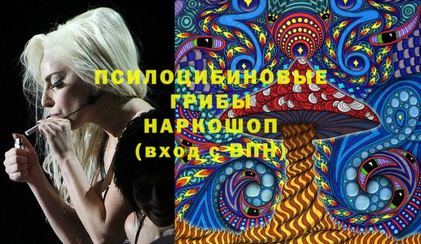 индика Алексеевка